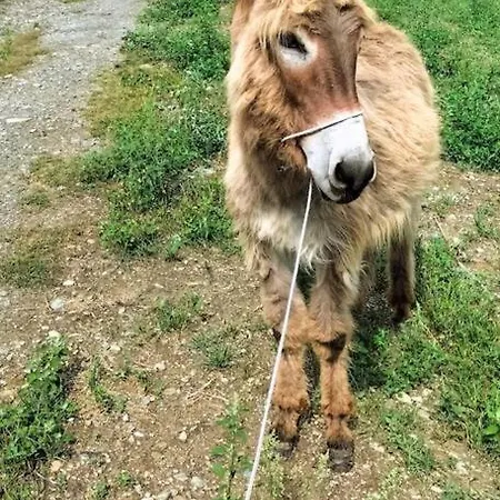 Di Montagna Lo Grop *