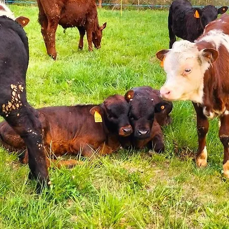 Apartament Di Montagna Lo Grop Chambave